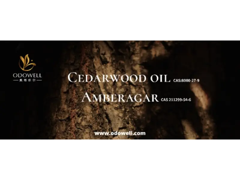 మీ సంతకం సువాసన నిజంగా ప్రత్యేకమైనదా?