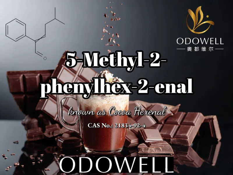 కోకో, చాక్లెట్ మరియు మోచా అప్లికేషన్‌ల కోసం ODOWELL 5-మిథైల్-2-ఫినైల్‌హెక్స్-2-ఎనాల్‌ని సిఫార్సు చేస్తుంది